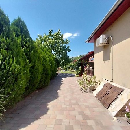 Lipták Vendégház Tokaj Kültér fotó